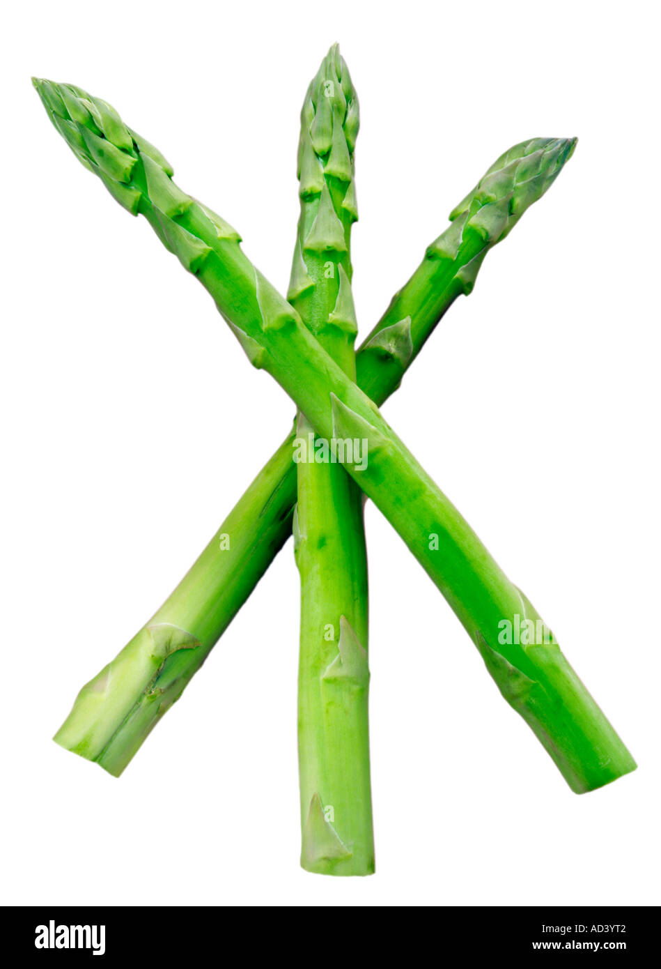 SPARGEL AUSSCHNEIDEN Stockfoto