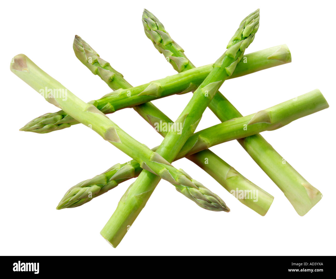 SPARGEL Stockfoto
