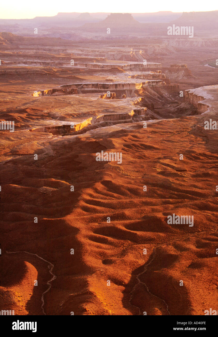 Grand View im Canyonlands bietet eine umfassende Übersicht des Nationalparks. Stockfoto