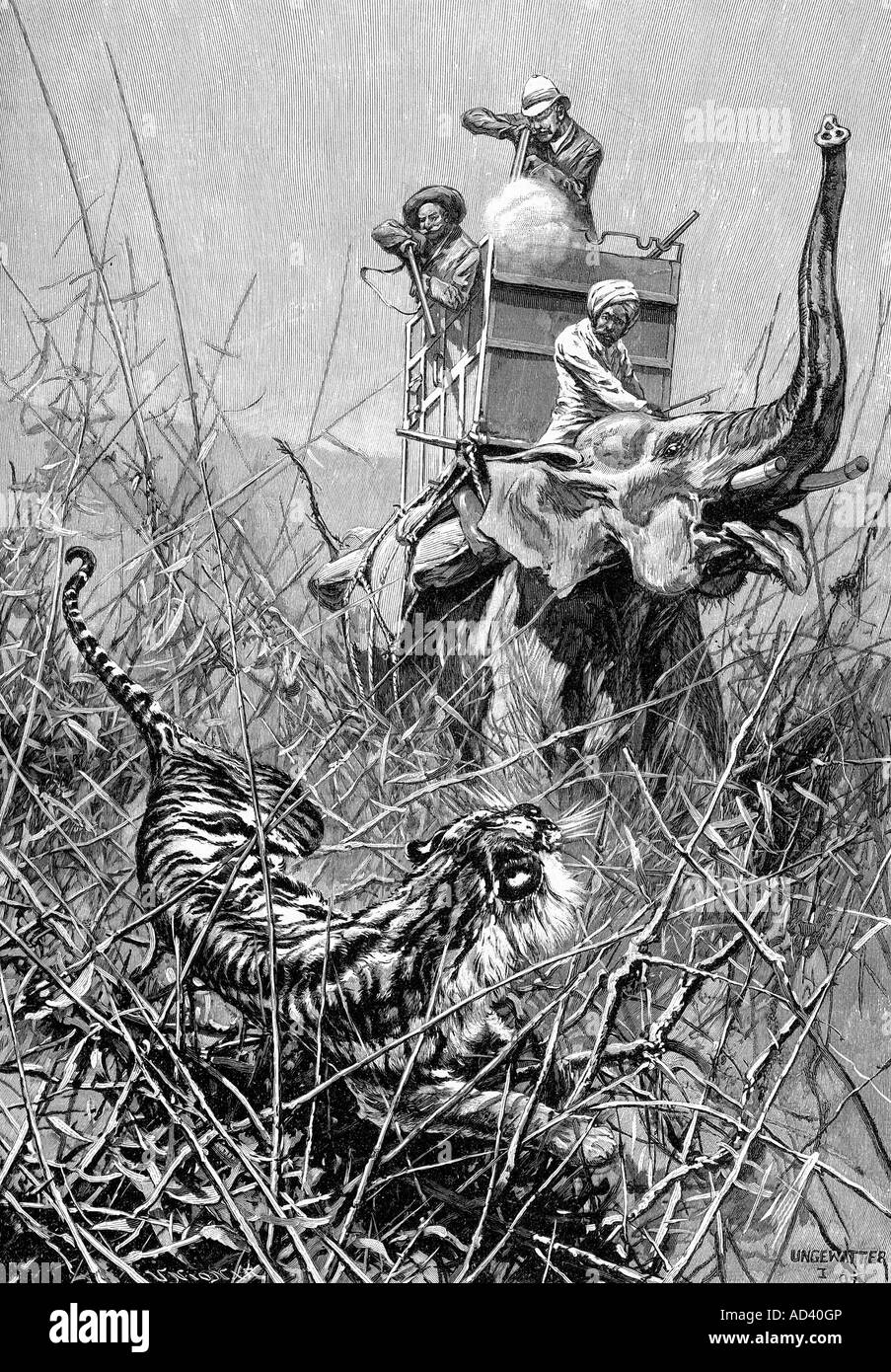 Jagd, Raubkatzen, Tiger, Jäger schießen, Reiten auf Elefanten, Indien, Gravur nach Zeichnung von Hugo Ungewitter, im Jahr 1895, Stockfoto