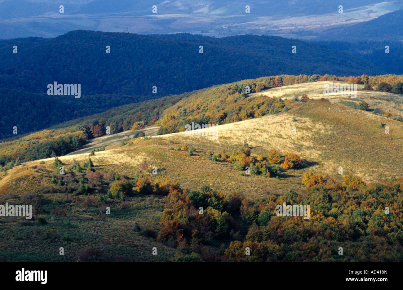 Bieszczady-gebirge, National Park Stockfoto