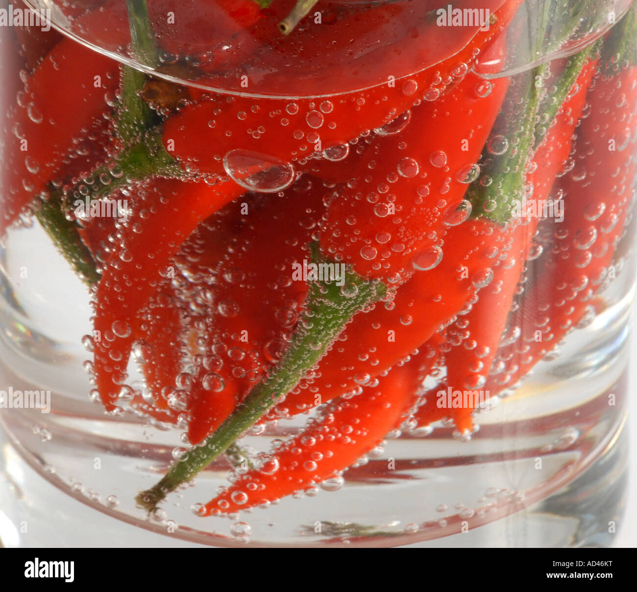 Chili-Schoten im Glas Stockfoto
