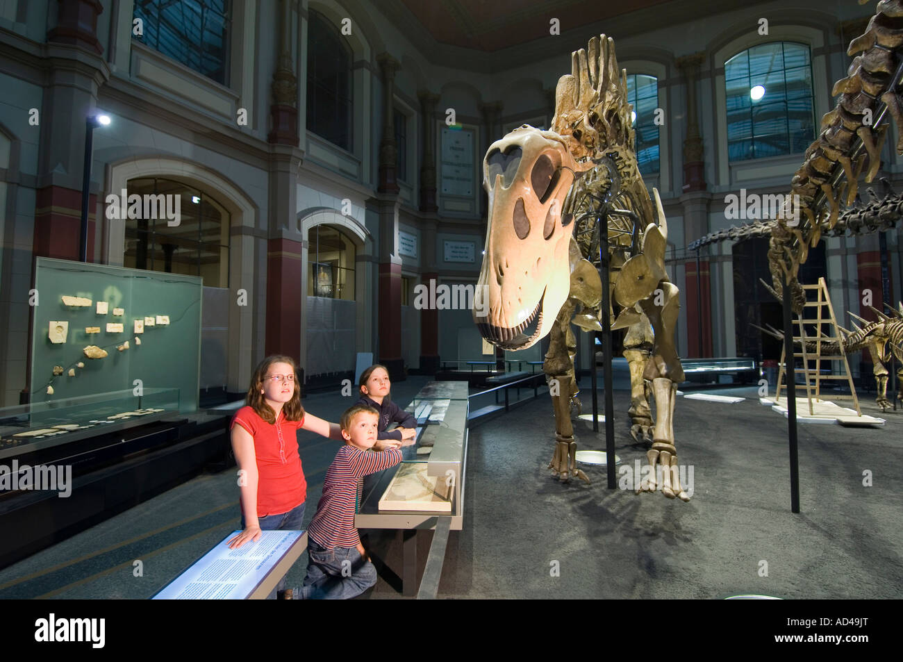 Sauriersaal, Kinder, Museum für Naturkunde, Berlin, Deutschland Stockfoto