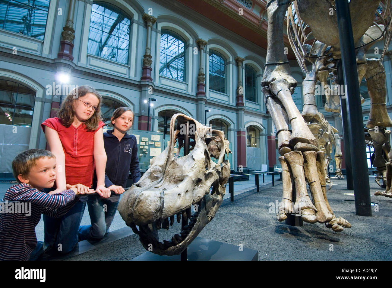 Sauriersaal, Kinder, Museum für Naturkunde, Berlin, Deutschland Stockfoto