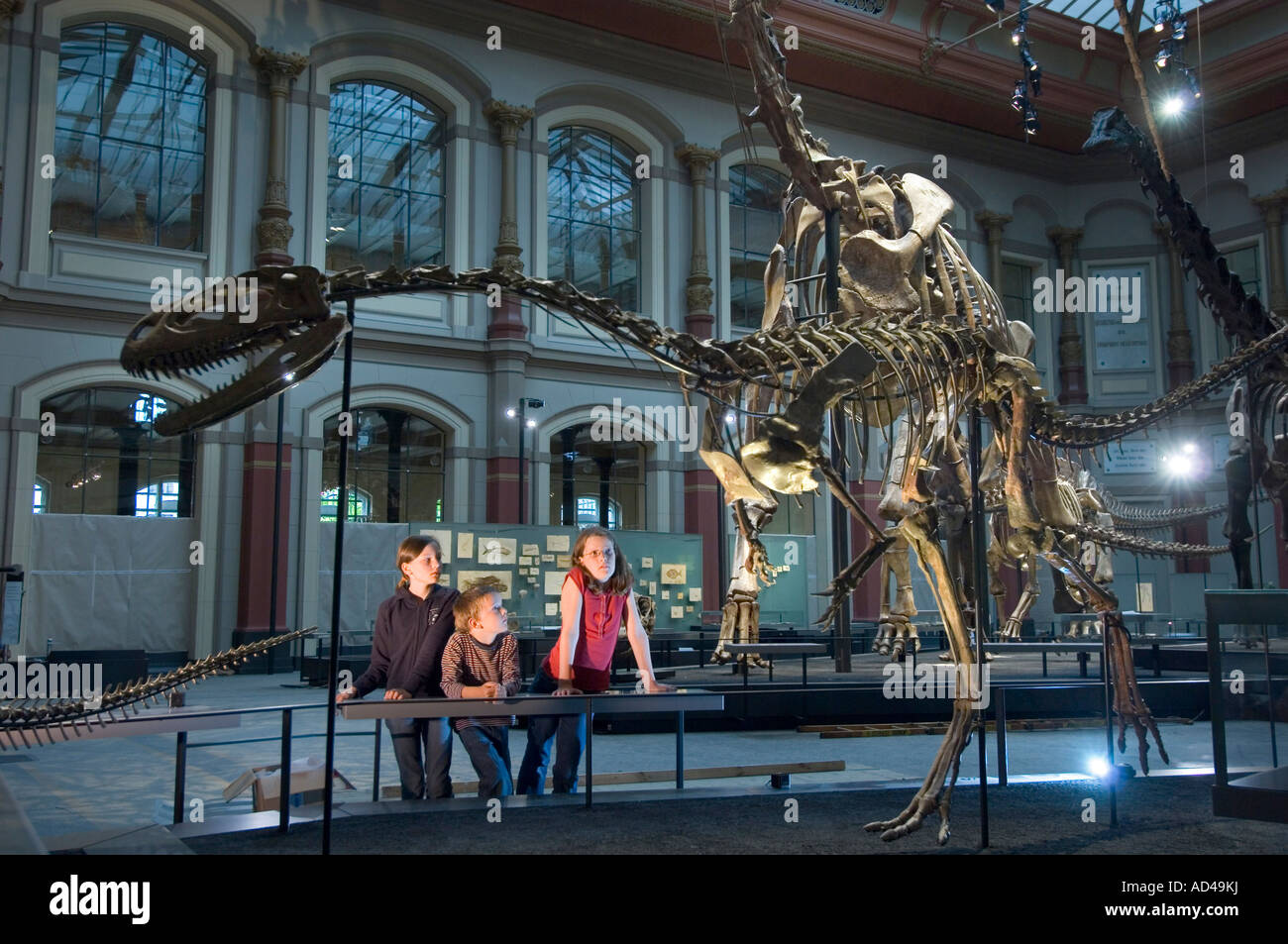Sauriersaal, Kinder, Museum für Naturkunde, Berlin, Deutschland Stockfoto