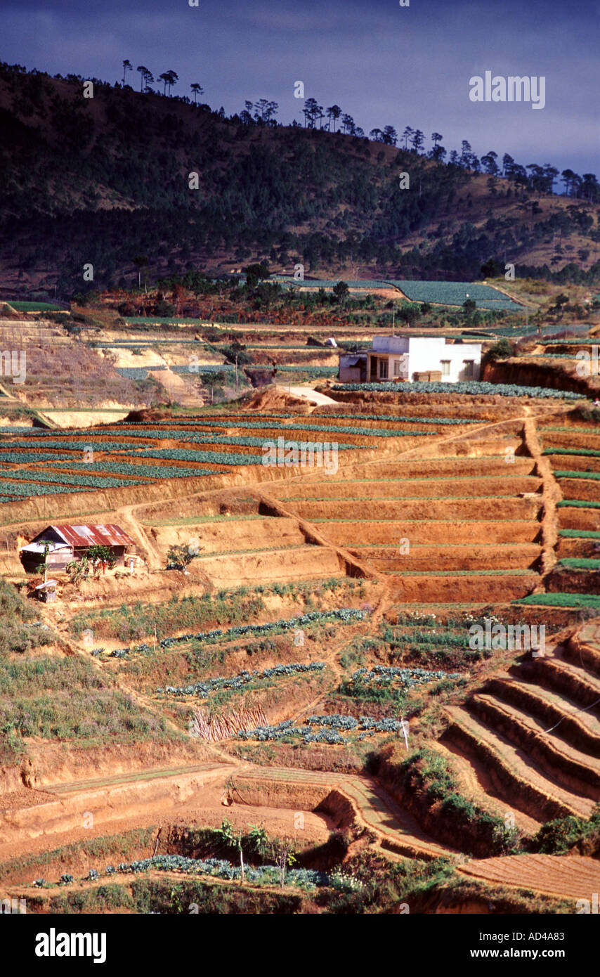 Ländliche Landschaft Nord-Vietnam Stockfoto