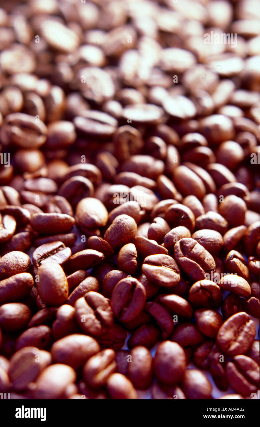 Kaffeebohnen-Hintergrund mit Hintergrundbeleuchtung Stockfoto