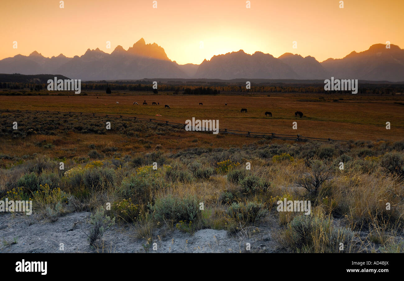 Landwirtschaftlichen Flächen vor der Grand Teton Range, Grand-Teton-Nationalpark, Wyoming, Vereinigte Staaten von Amerika Stockfoto