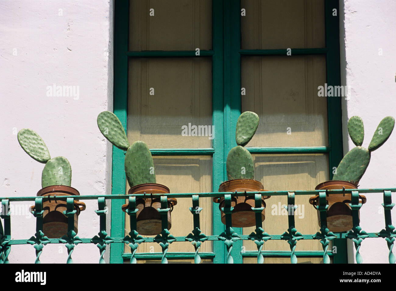 Fenster, Balkon/Veranda mit Kakteen/Kaktus in Tpfen auf/hinter  Gitter/Gelnder Roses Costa Brava Katalonien Spanien Stockfotografie - Alamy