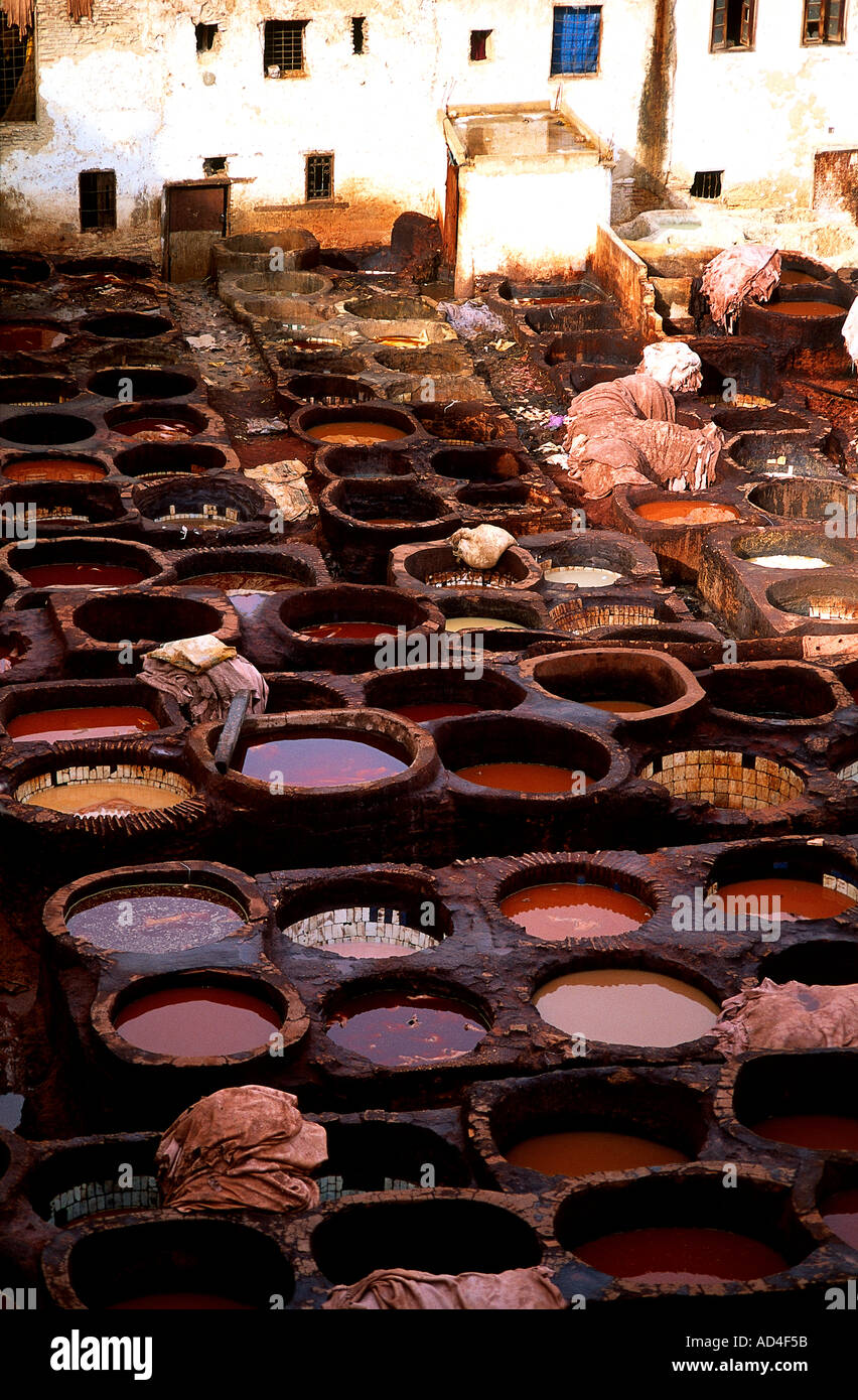Männer arbeiten in der alten Gerberei in der Medina von Fes Marokko Stockfoto