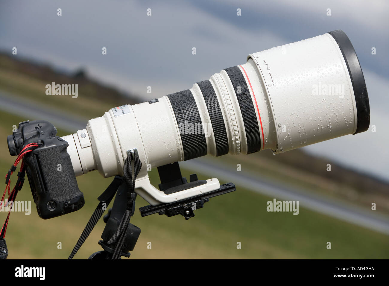 Canon EF 400mm F2. 8 IS USM super Tele-Objektiv Canon EOS-1Ds Mark 2 Kamera  Stockfotografie - Alamy