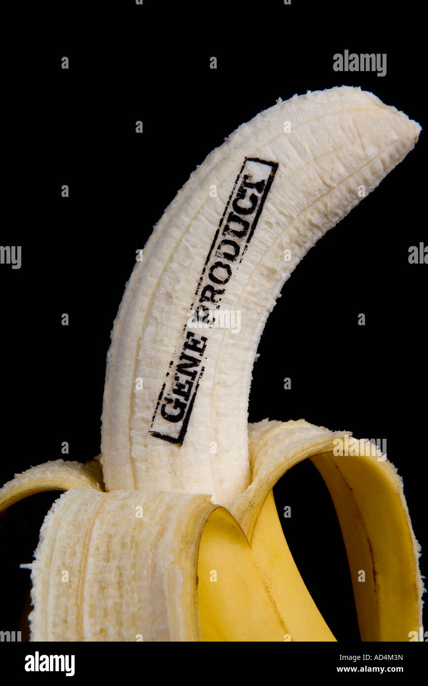 Eine Banane gestempelt "Gene Product" Stockfoto