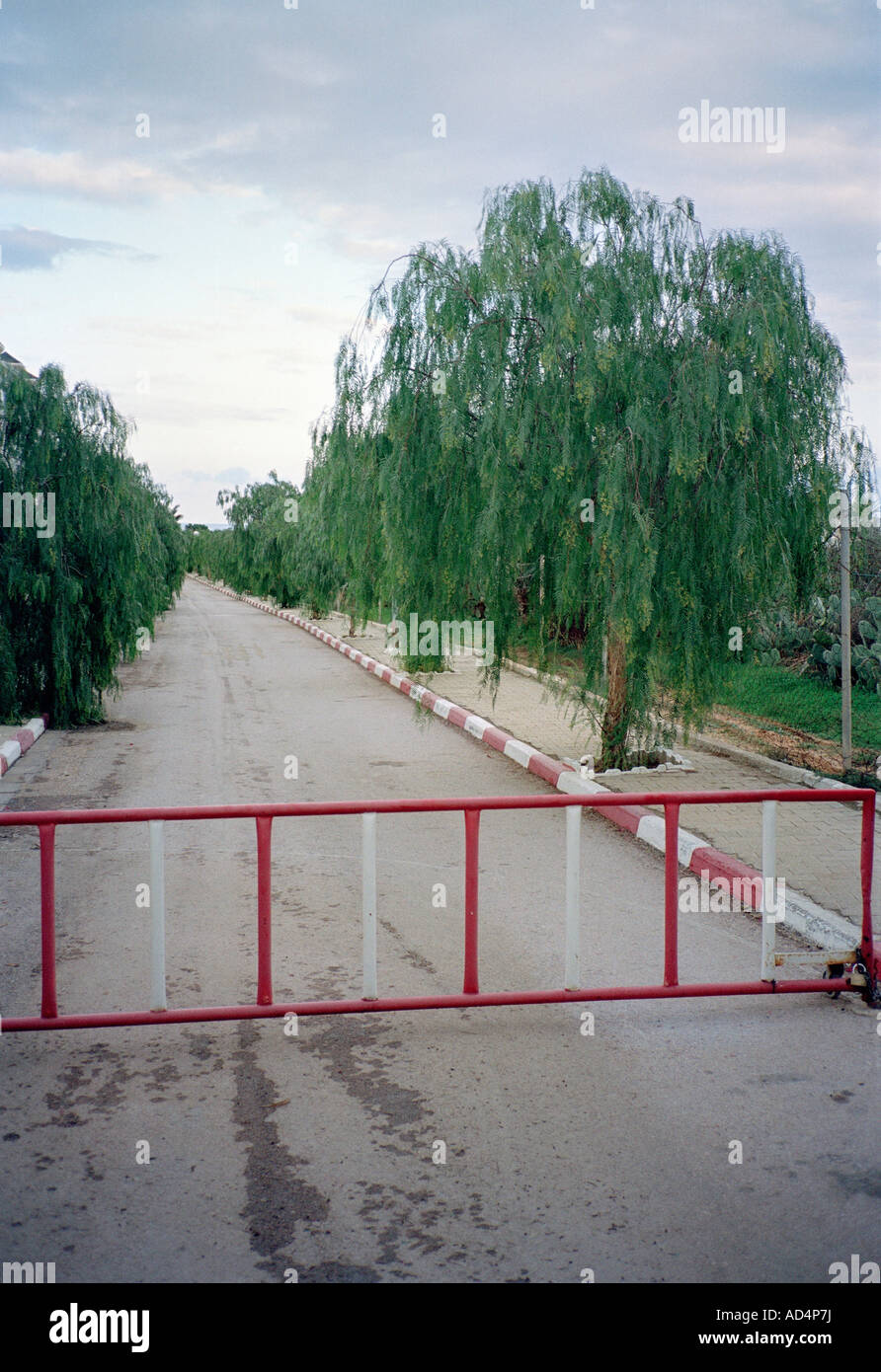 Ein geschlossenes Tor auf einer von Bäumen gesäumten Straße Stockfoto