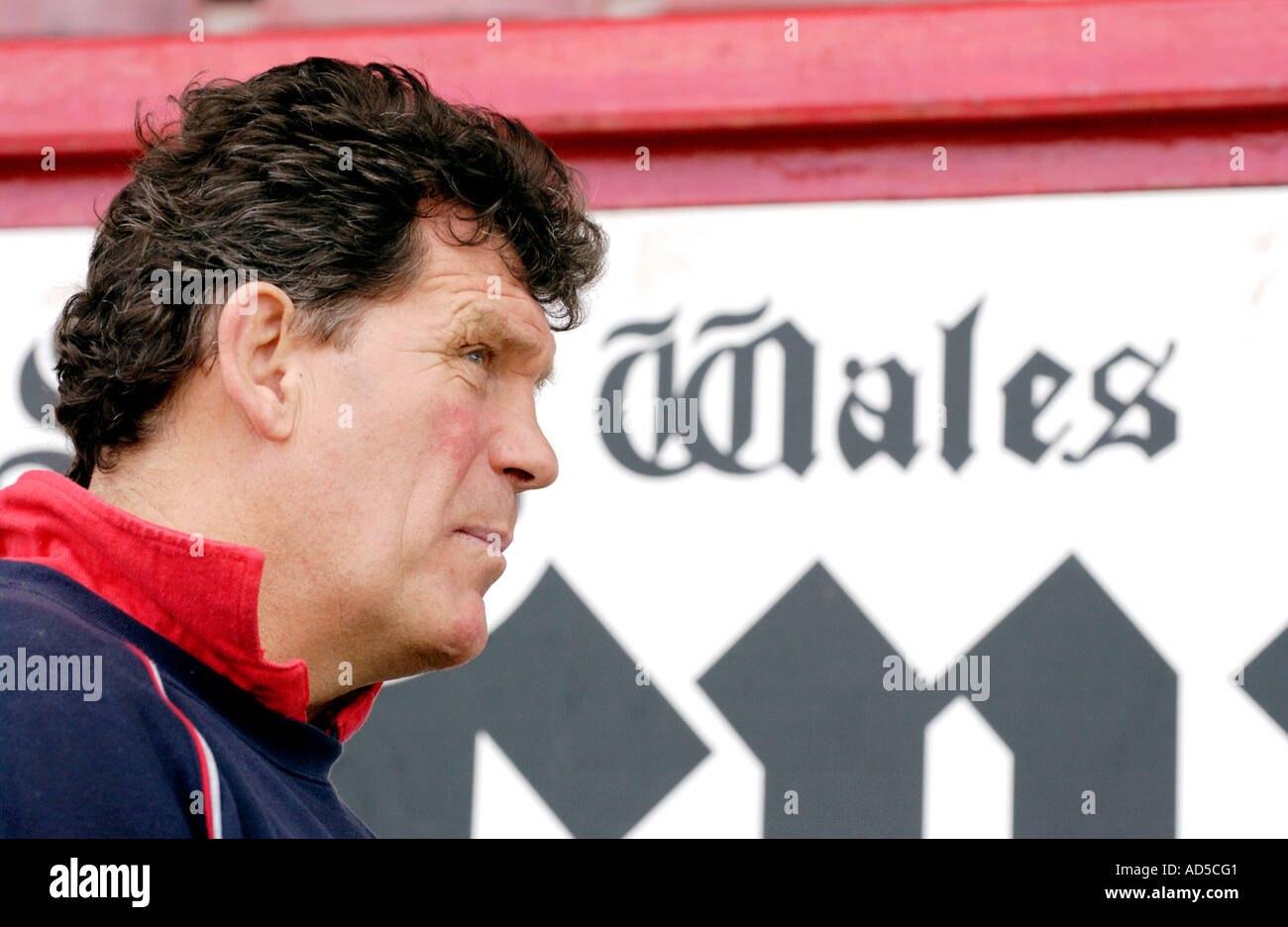 Gareth Jenkins Rugby-union-Coach trainierte Llanelli, Wales und British and Irish Lions abgebildet bei Stradey Park Llanelli Wales UK Stockfoto