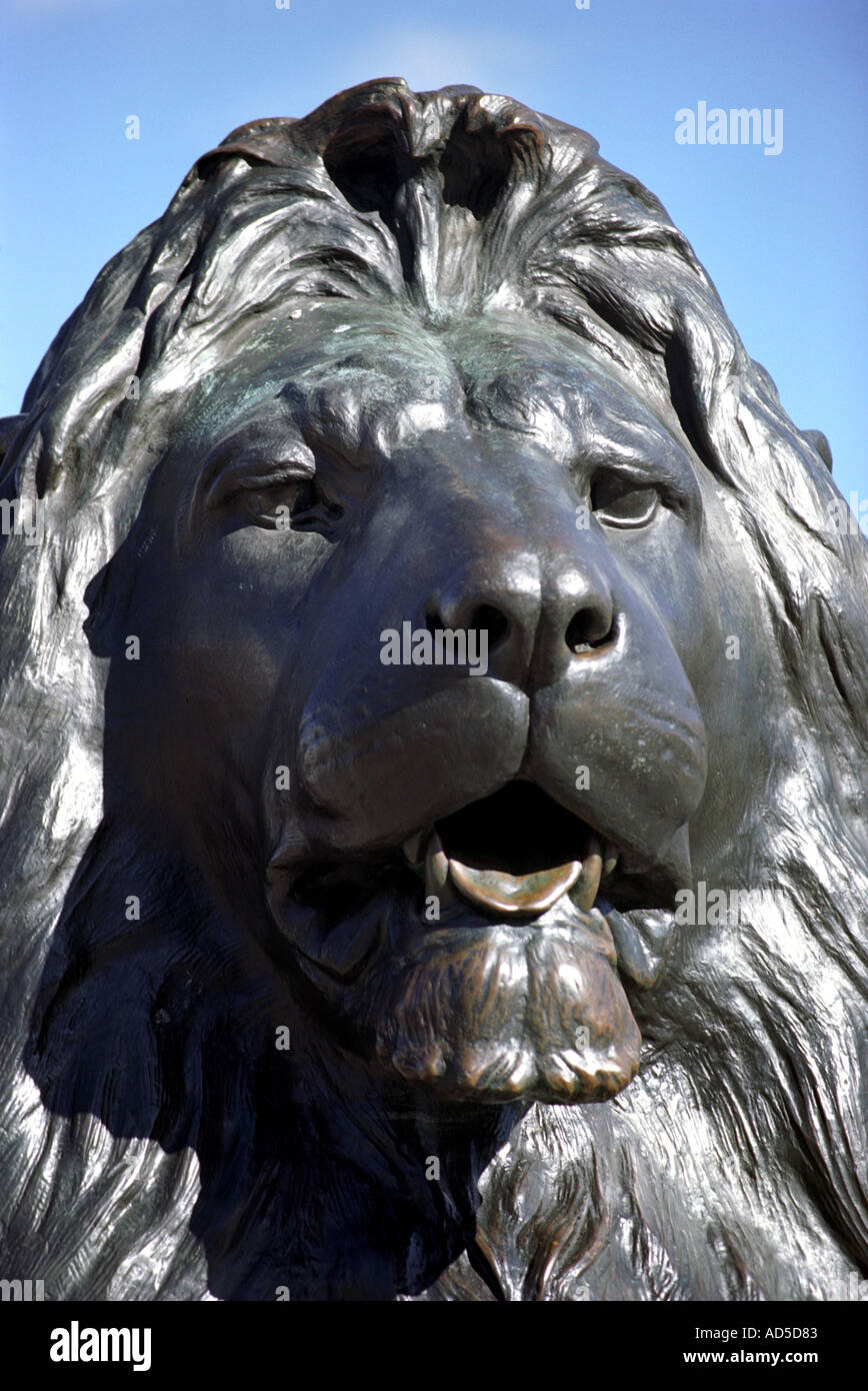 Nahaufnahme einer Löwen-Statue in Trafalgar Square London Großbritannien UK Stockfoto