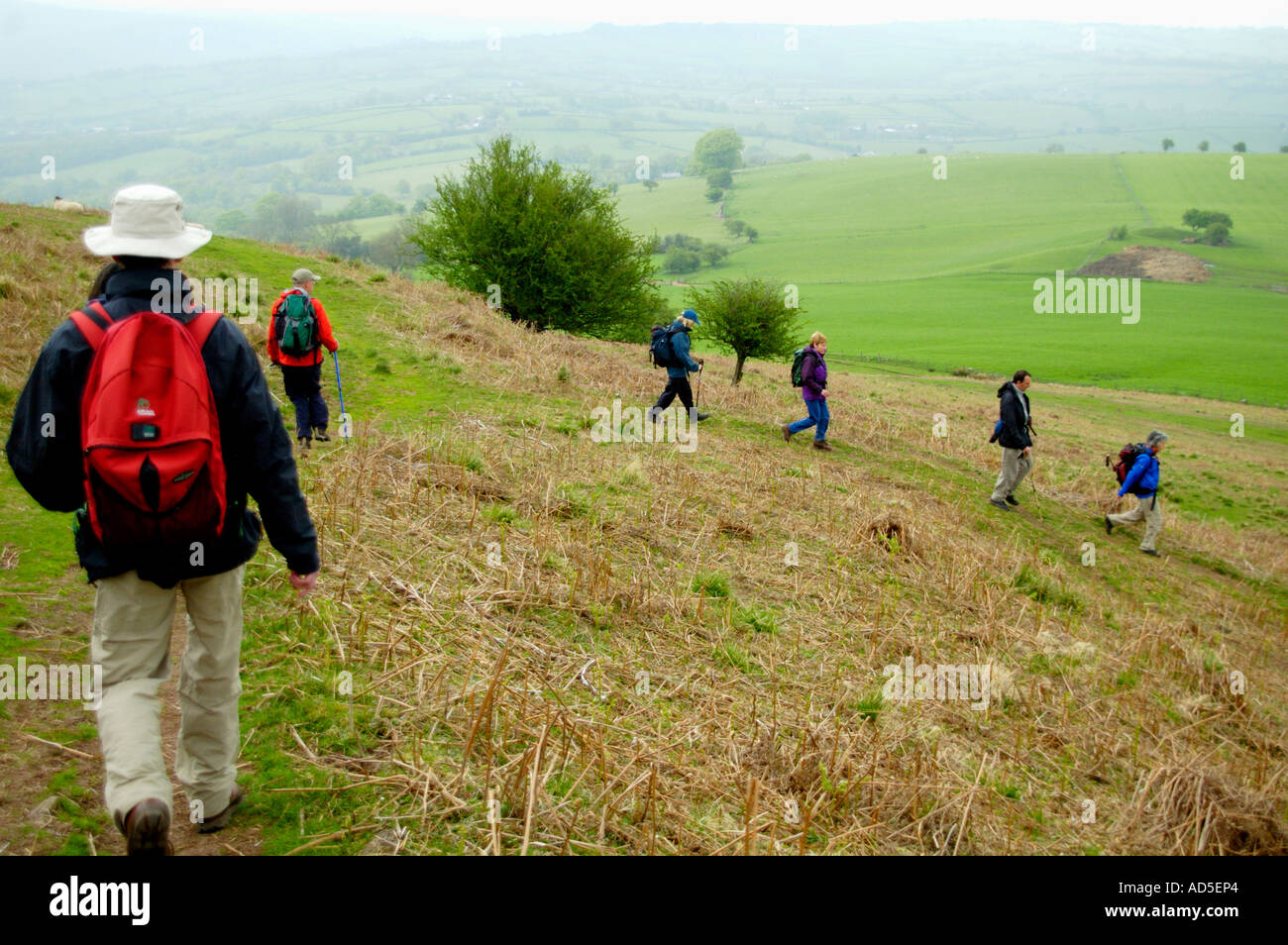 Geführte walking-Gruppe Abstieg auf Wanderweg vom Gipfel des Berges Skirrid Fawr Abergavenny Monmouthshire South Wales UK Stockfoto