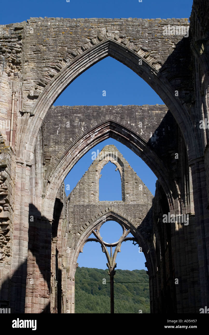 Tintern Abbey Wye Valley Gwent Wales UK Stockfoto