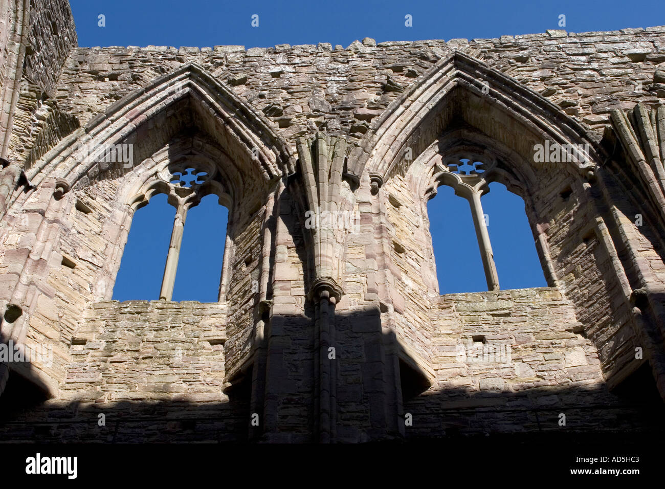Tintern Abbey Wye Valley Gwent Wales UK Stockfoto