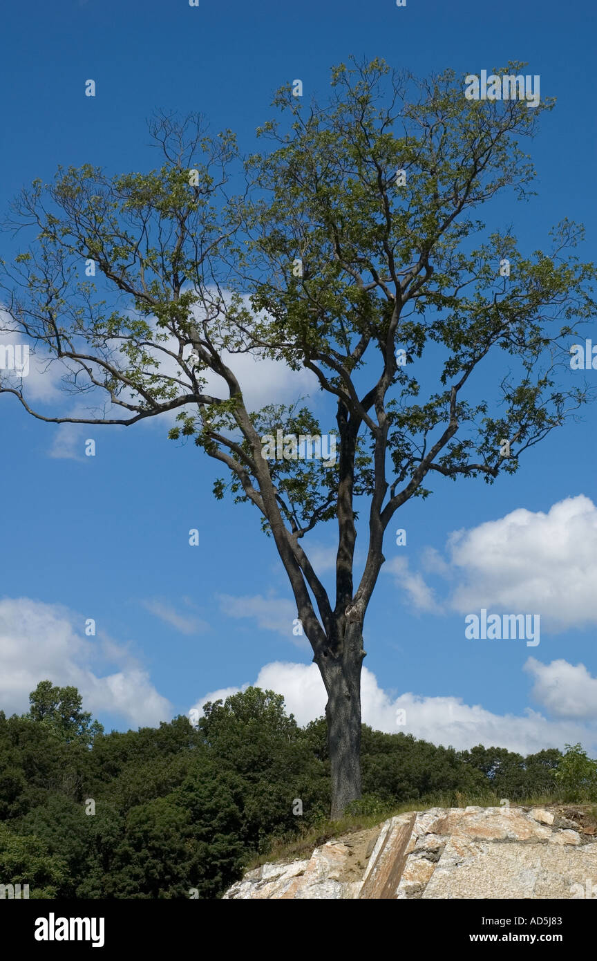 Einfache Struktur mit blauem Himmel Wolken und felsige Landschaft Stockfoto