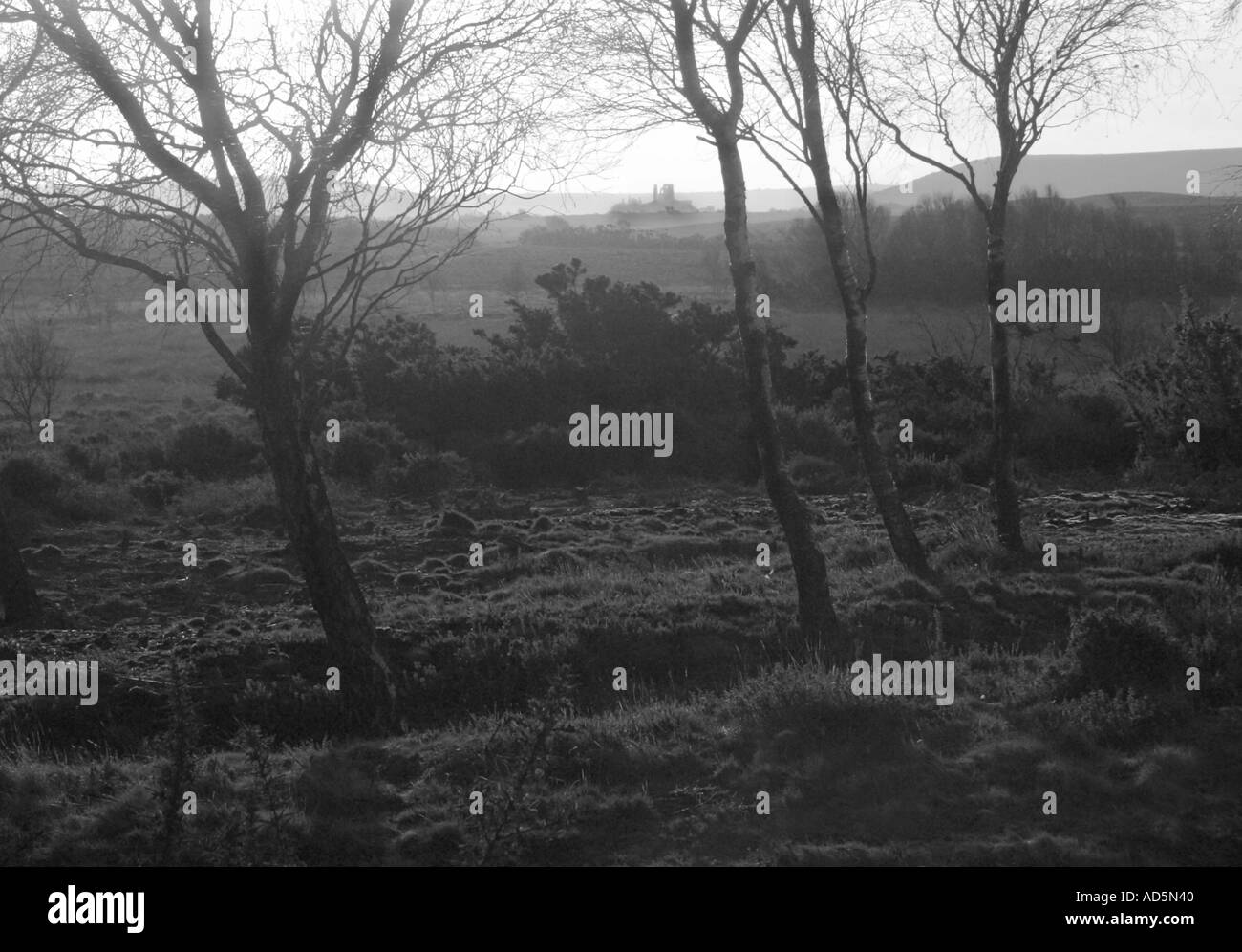 Corfe Castle Dorset Black und White historische Architektur Bäume Ruinen Stockfoto