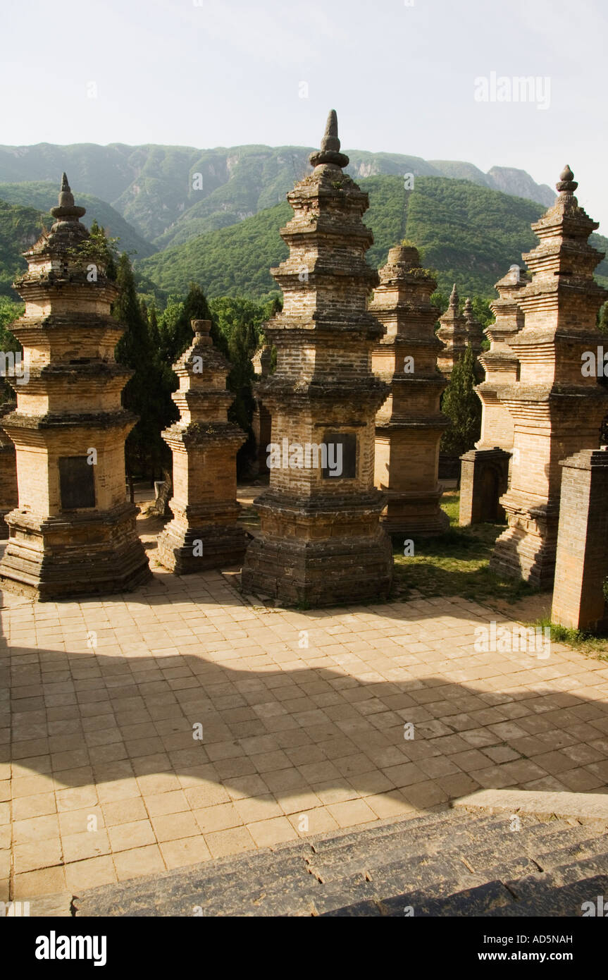 Pagode Waldfriedhof am Shaoling Tempel die Wiege des Kung Fu Kampfkunst Shaolin Provinz Henan China Stockfoto