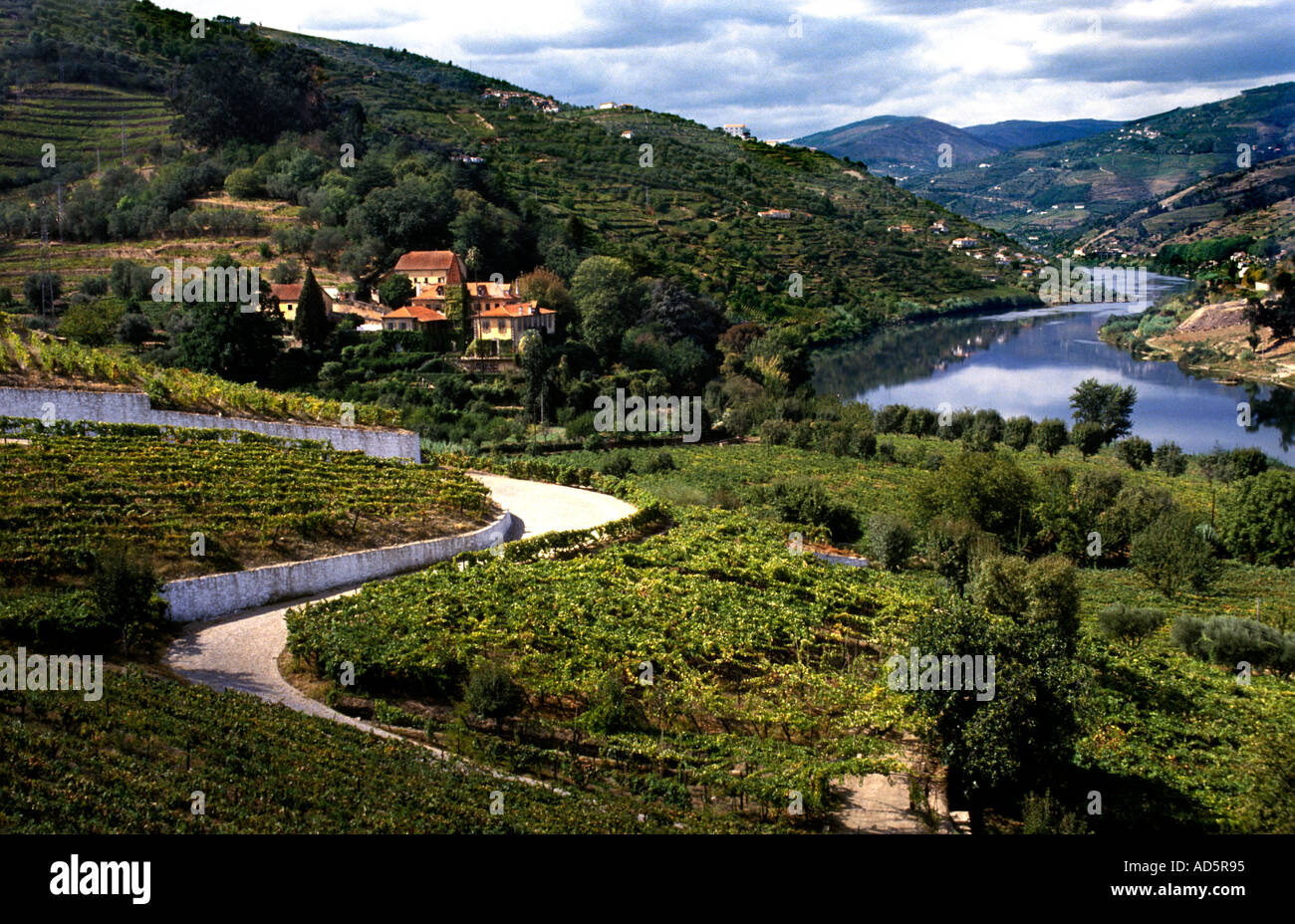 Portugal Douro-Tal Portwein Reihenhaus Stockfoto