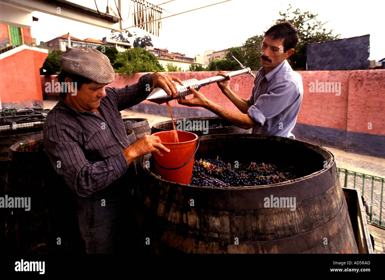 Portugal Douro Tal Port Wein Mann Männer testen Trauben Stockfoto