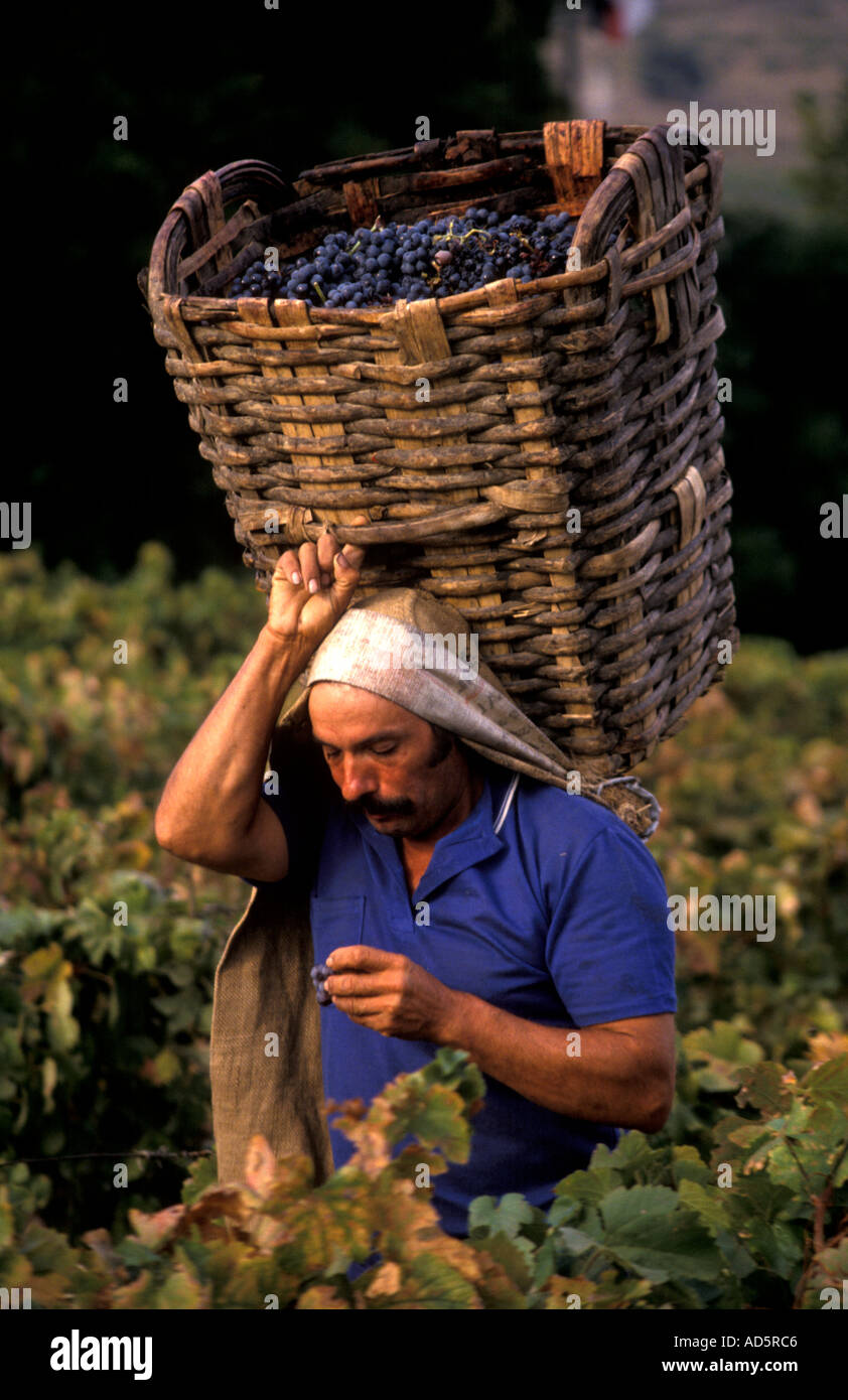 Portugal Douro Tal Portwein Mann mit Korb Stockfoto