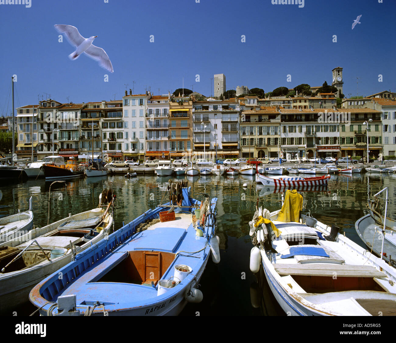 FR - COTE d ' Azur: Den Hafen und die Stadt Cannes Stockfoto