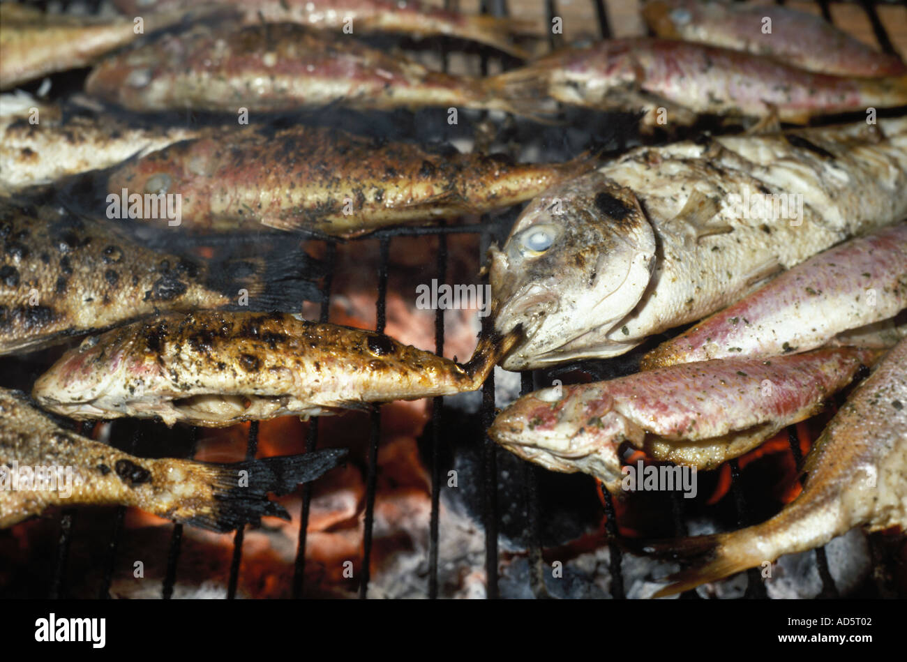 Fisch auf einem Holzkohlegrill zubereitet Stockfoto