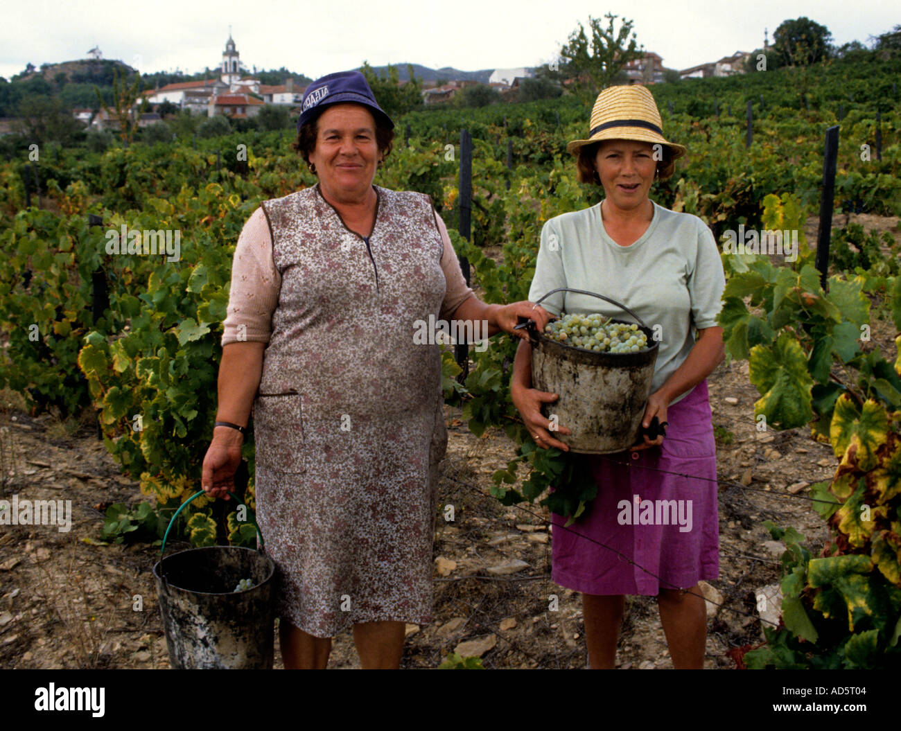 Portugal Wein Vino Verde zwei Frau Ernte Frauen Stockfoto