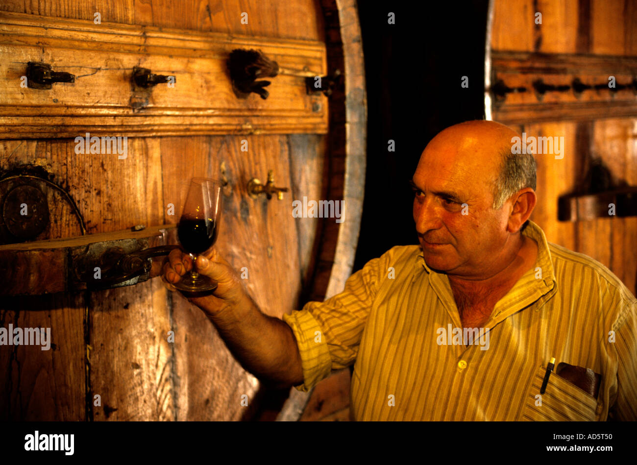 Portugal Douro Tal Portwein Symington testen Wein Stockfoto