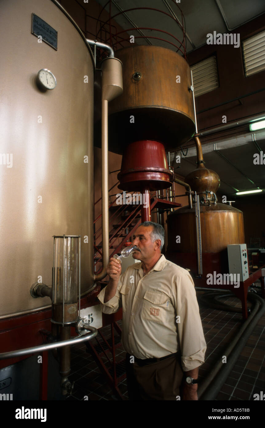 Spanien Wein Cognac Brandy noch Stills Mann Geschmack Test Probe Glas Wein Trinker Toper Säufer Stockfoto