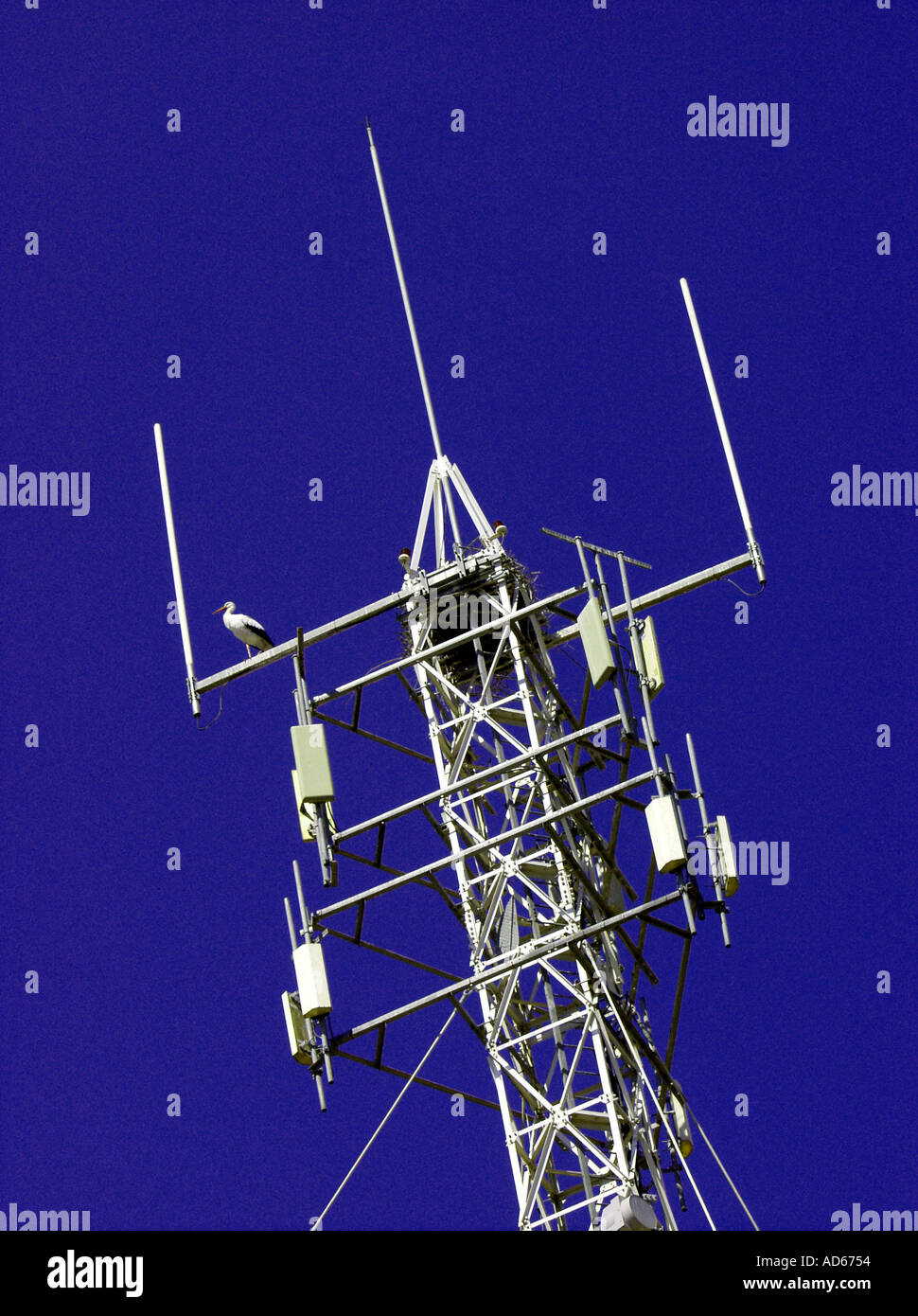 Kommunikation-Antenne Stockfoto