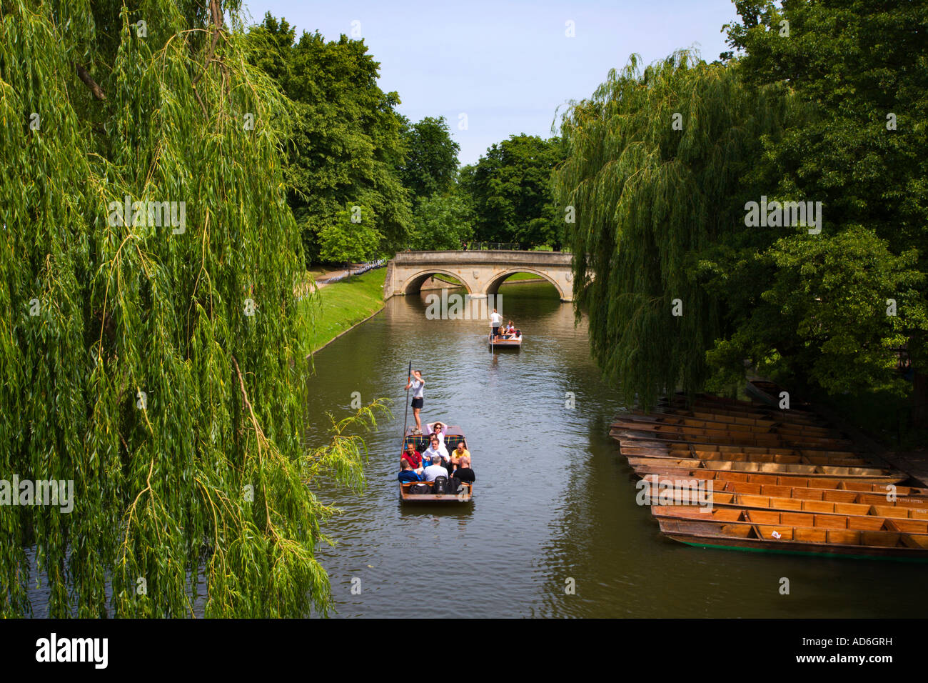 Stochernd auf der Cam an Clare Brücke in Cambridge, England Stockfoto