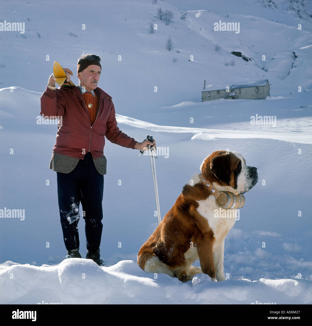 Barry eines der letzten ST BERNARD RETTUNGSHUNDE auf der italienischen  Schweiz Grenze mit 63 Jahre alte PAUL VUYET 1975 Foto TERRY FINCHER  Stockfotografie - Alamy