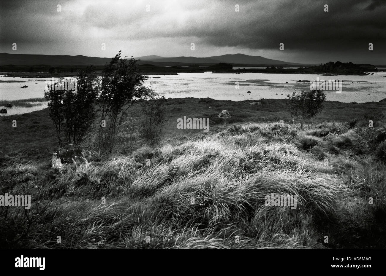 Blick über Rannoch Moor in den Highlands von Schottland zeigt Dramtic Wolken und windgepeitschten Gräser im Vordergrund Stockfoto