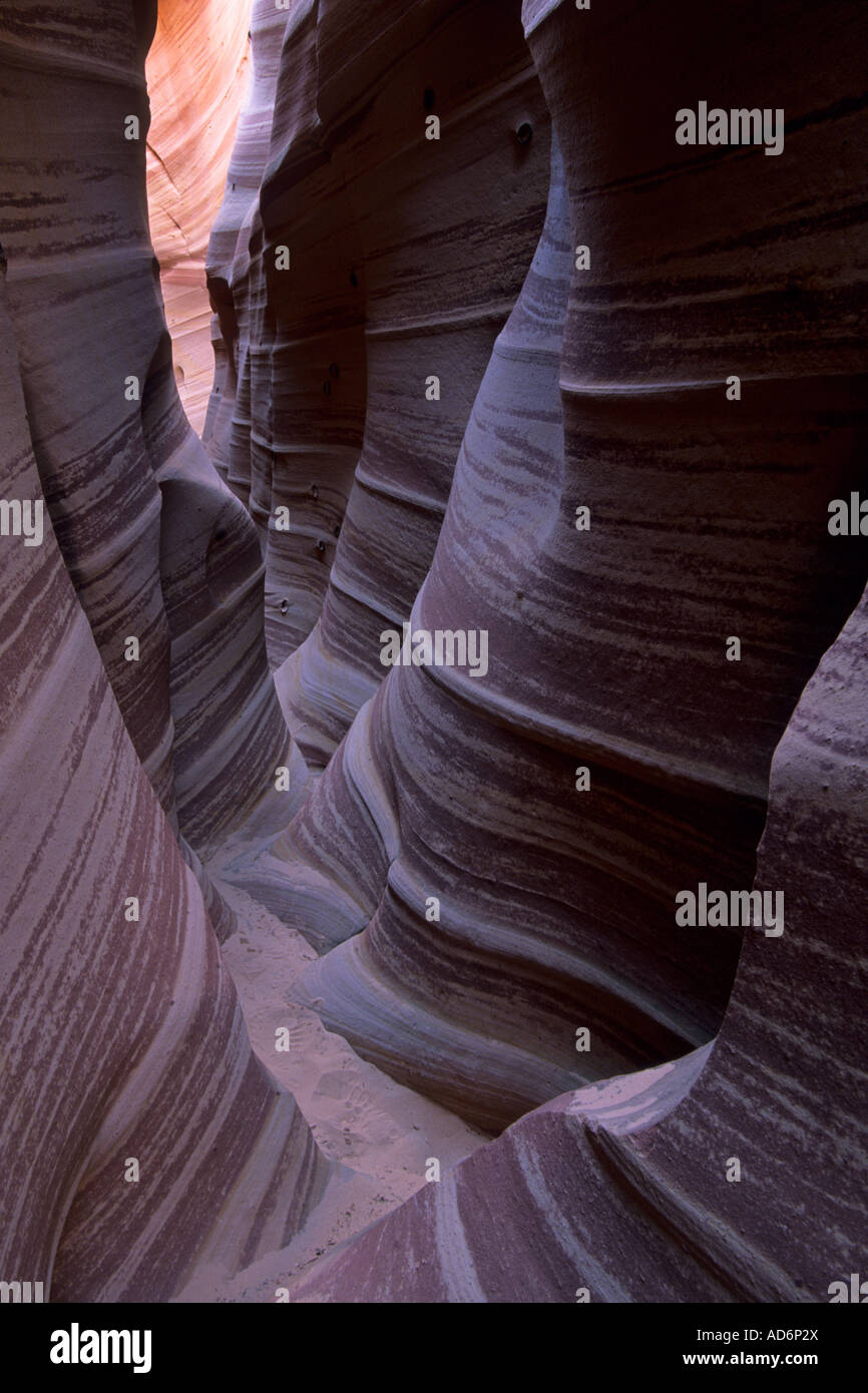 Hole In The Rock Road Detailbereich Zebra Slot Canyon Grand Treppe Escalante N M UTAH Stockfoto