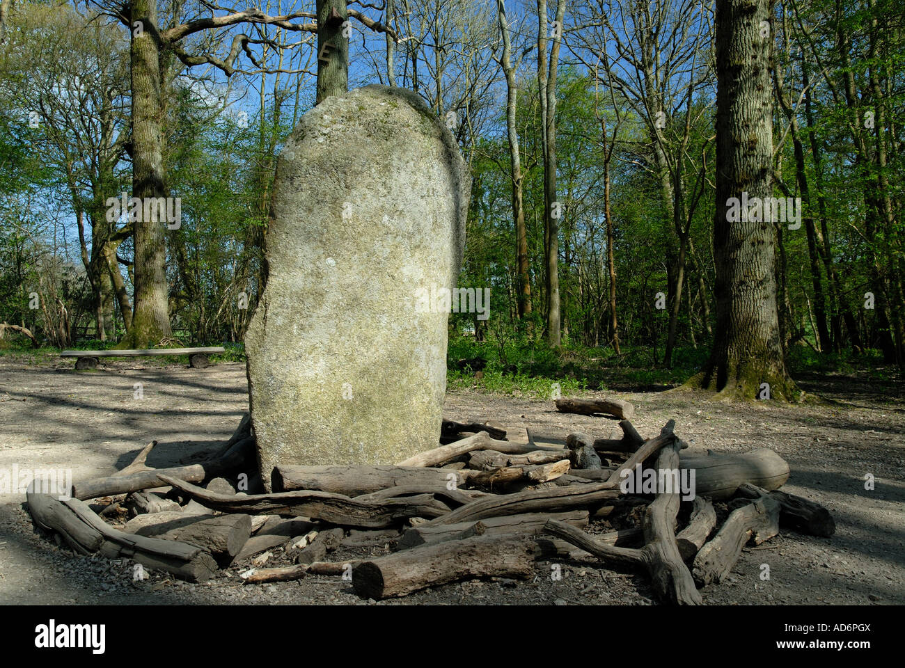 Ein stehender Stein in den Zauberwald Groombridge Place Gardens nahe Tunbridge Wells in Kent. Stockfoto