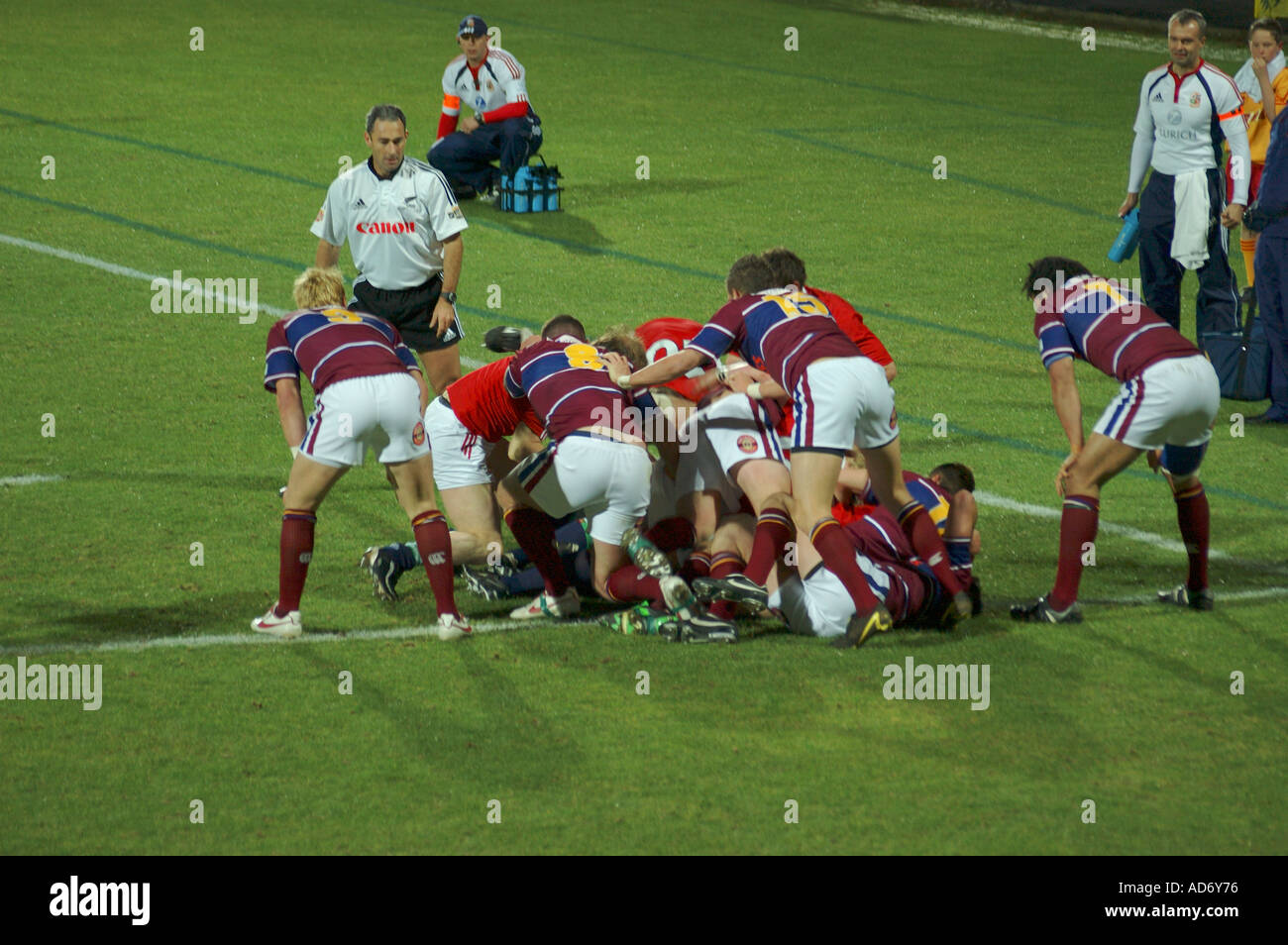 Britische und irische Löwen 2005 Stockfoto