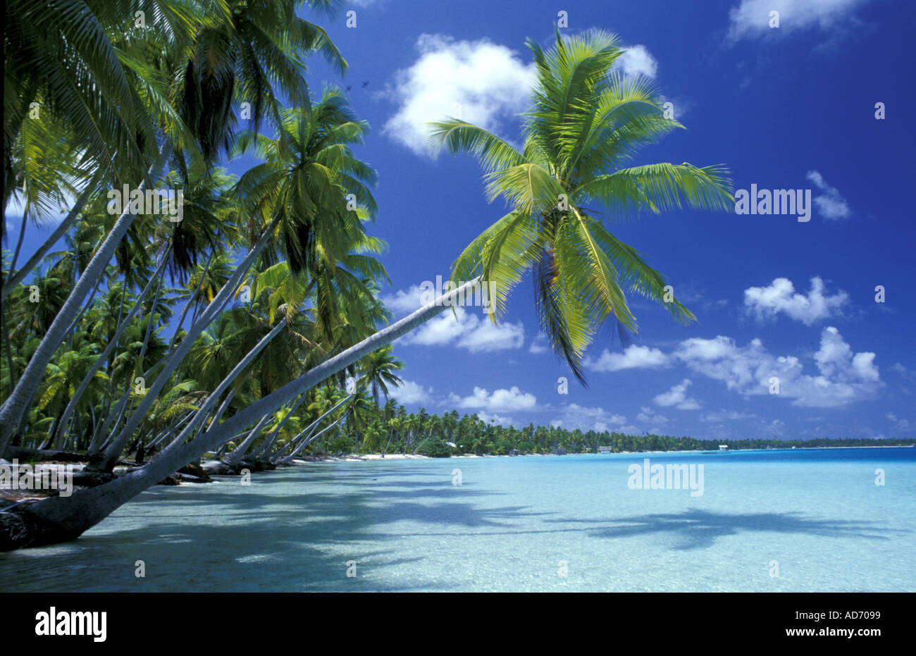 FRANZÖSISCH-POLYNESIEN TUAMOTUS ARCHIPEL Stockfoto