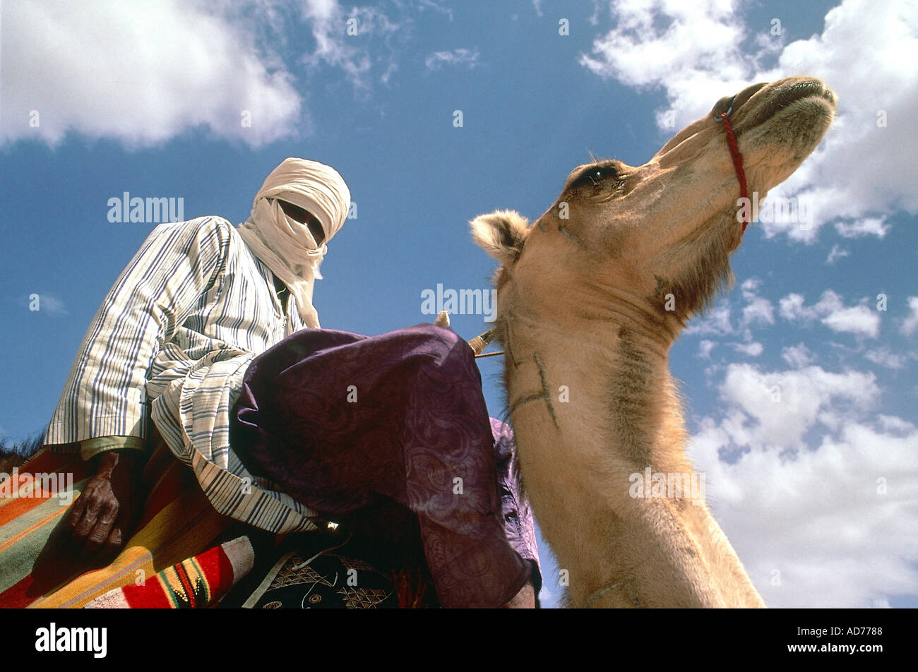 ALGERIEN SAHARA TASSILI M AJJER NÄHE DER OASE DJANET TUAREG SEIN KAMEL REITEN Stockfoto