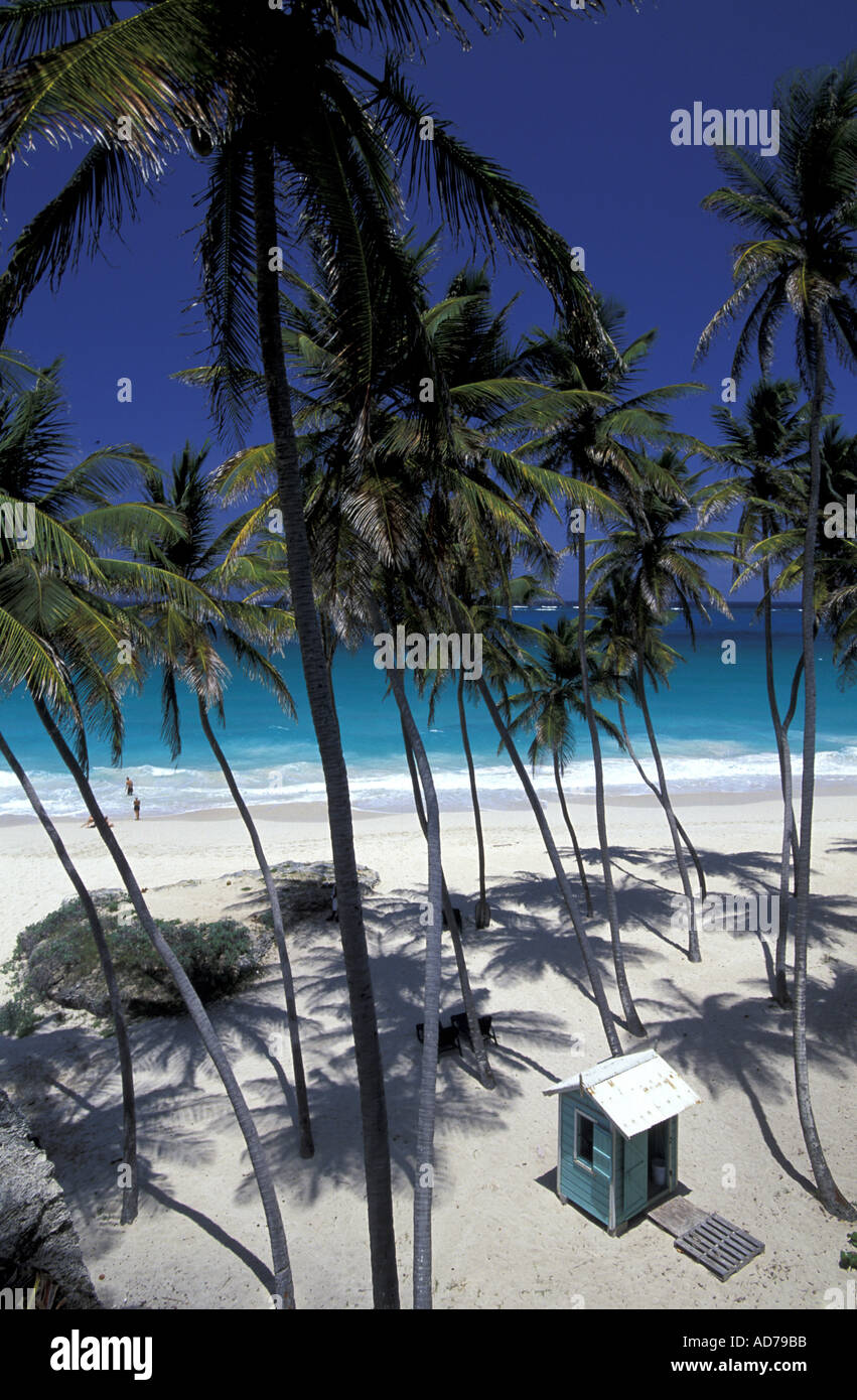 KARIBISCHEN BRITISH WEST INDIES BARBADOS LA BARBADE EAST COAST UNTEN BAY BEACH Stockfoto