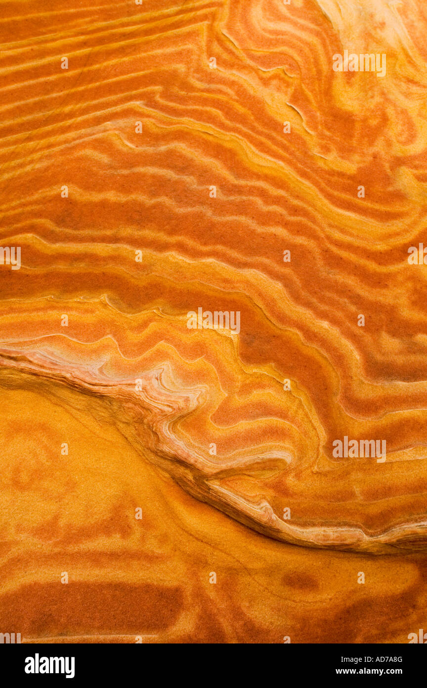 Gekerbten Sandstein-Formationen an The Wave Coyote Buttes Paria Canyon Vermilion Cliffs Wilderness Arizona Stockfoto