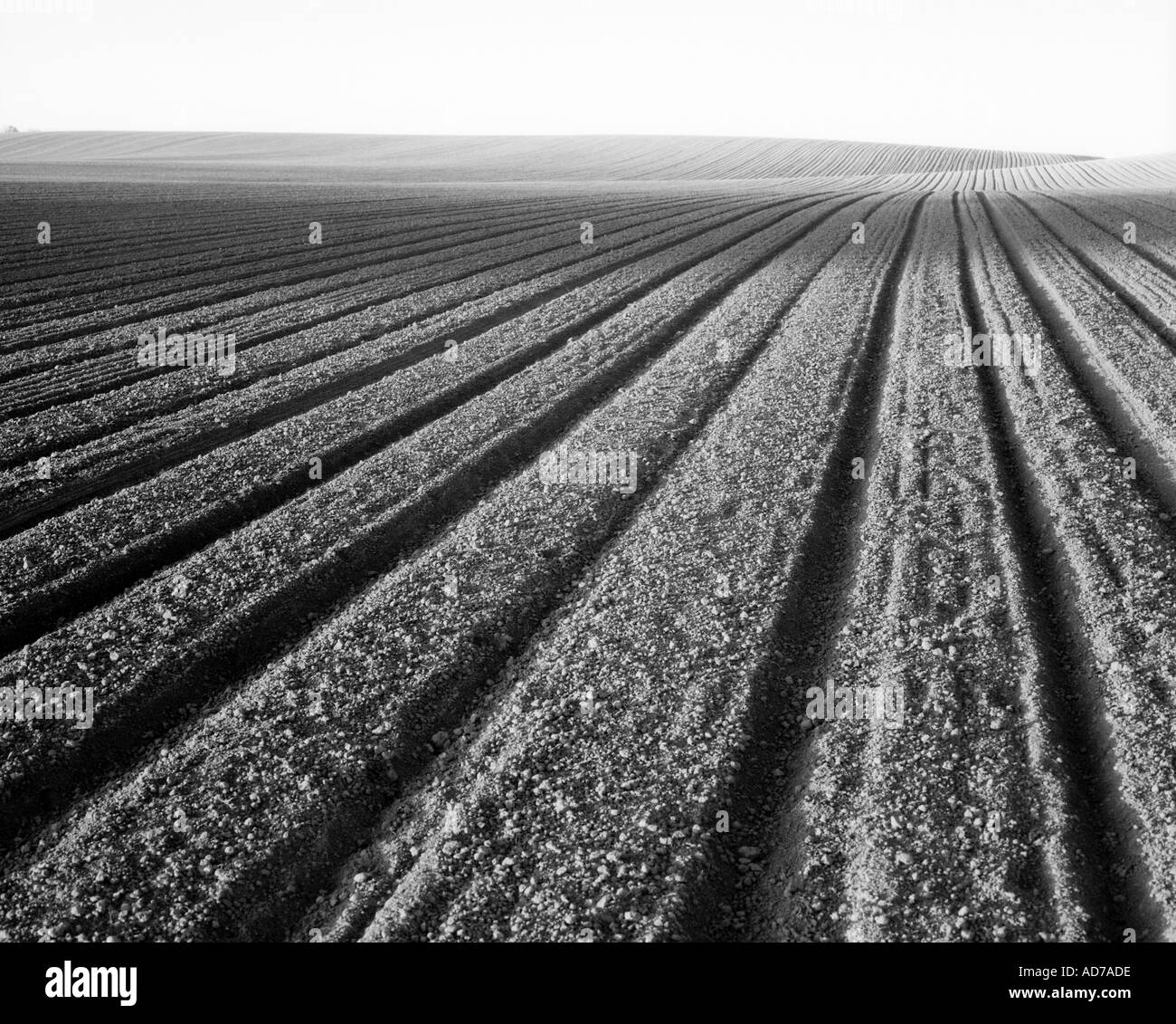Frisch gepflügtes Feld Stockfoto