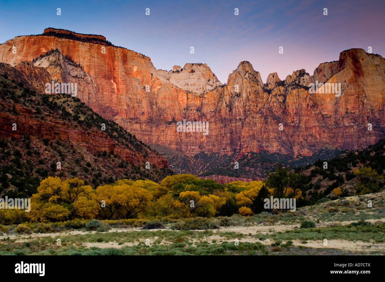 Morgendämmerung auf der West-Tempel und Türme Jungfrau Zion Canyon Zion National Park in Utah Stockfoto