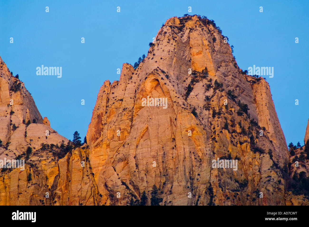 Sunrise-Licht auf den Türmen Jungfrau Zion Canyon Zion National Park in Utah Stockfoto