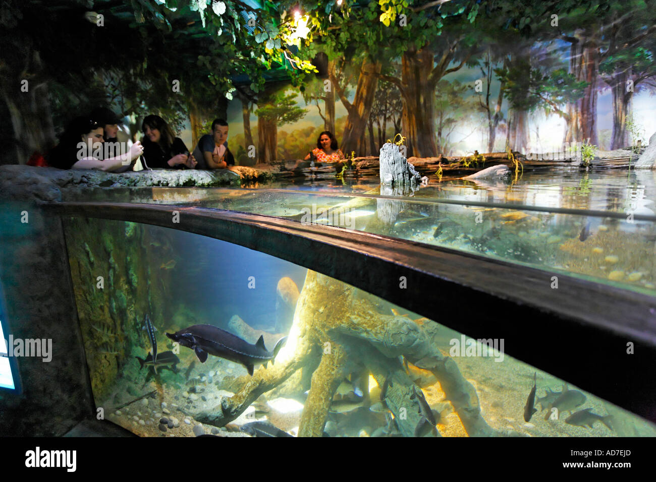 Sea Life München Bayern Deutschland Stockfoto