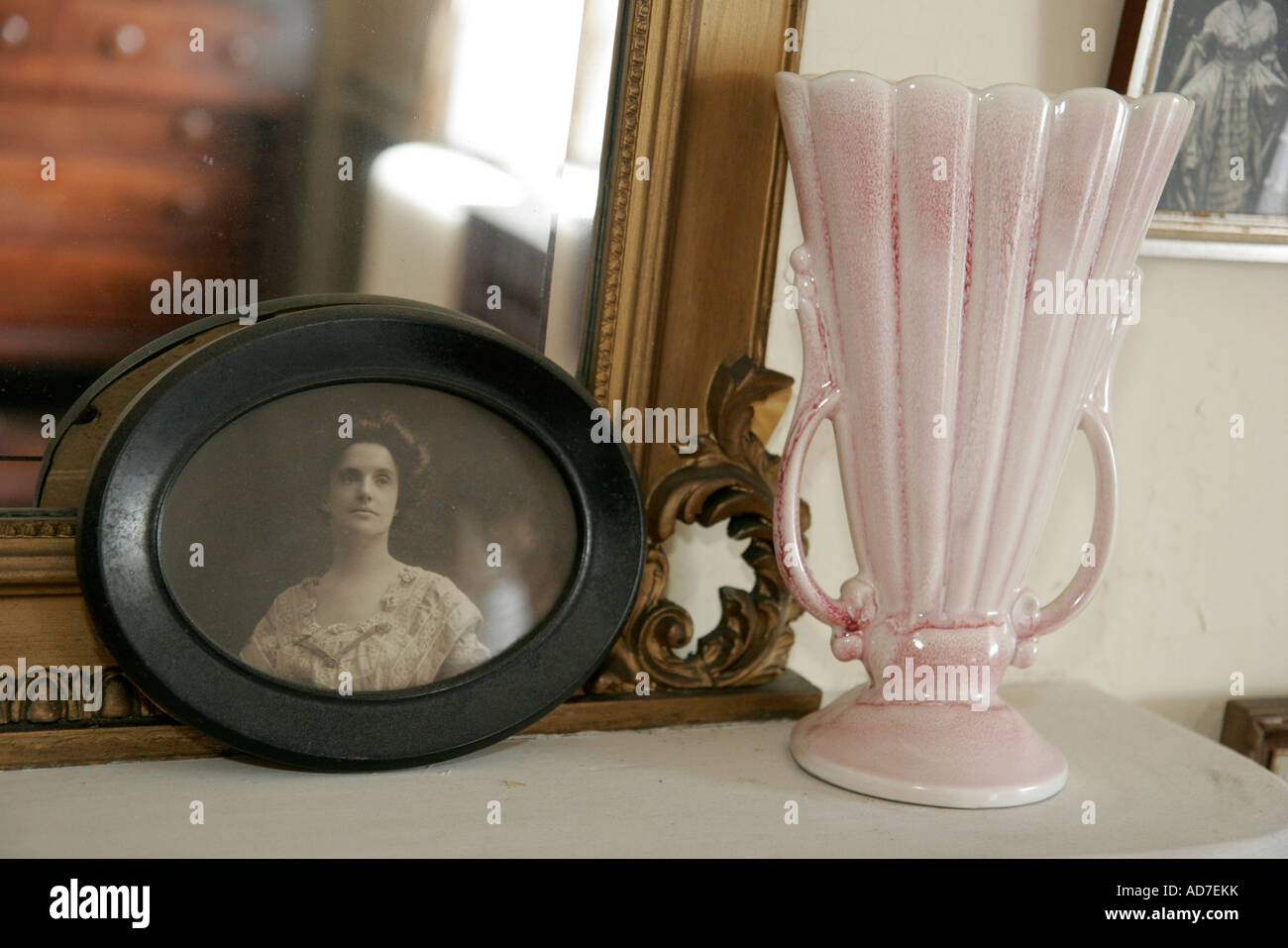 Portsmouth Virginia, Olde Towne Trolley Tour, Hill House, Houses, 1820 vierstöckiges englisches Kellergeschoss, Vase, Portrait, VA070623053 Stockfoto
