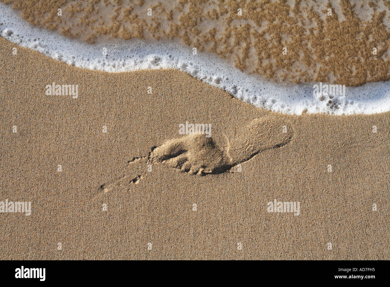 Fußspuren Fußabdrücke in sandigen Strand Fuerteventura Kanarische Inseln Stockfoto